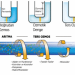 reverse-osmosis
